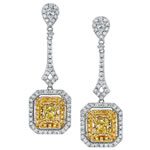 Fancy Diamond Earrings