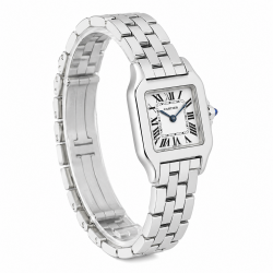 Santos de Cartier Demoiselle 20MM W25064Z5 Stainless Steel Watch