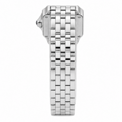 Santos de Cartier Demoiselle 20MM W25064Z5 Stainless Steel Watch