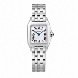Santos de Cartier Demoiselle 20MM W25064Z5 Stainless Steel Watch