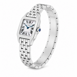 Santos de Cartier Demoiselle 20MM W25064Z5 Stainless Steel Watch