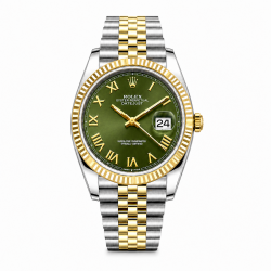 Unworn Rolex Datejust 41MM 126333 Two Tone Olive Green Watch